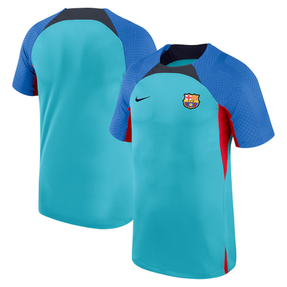 Men's Nike Turquoise Barcelona Strike Raglan Performance Team Top