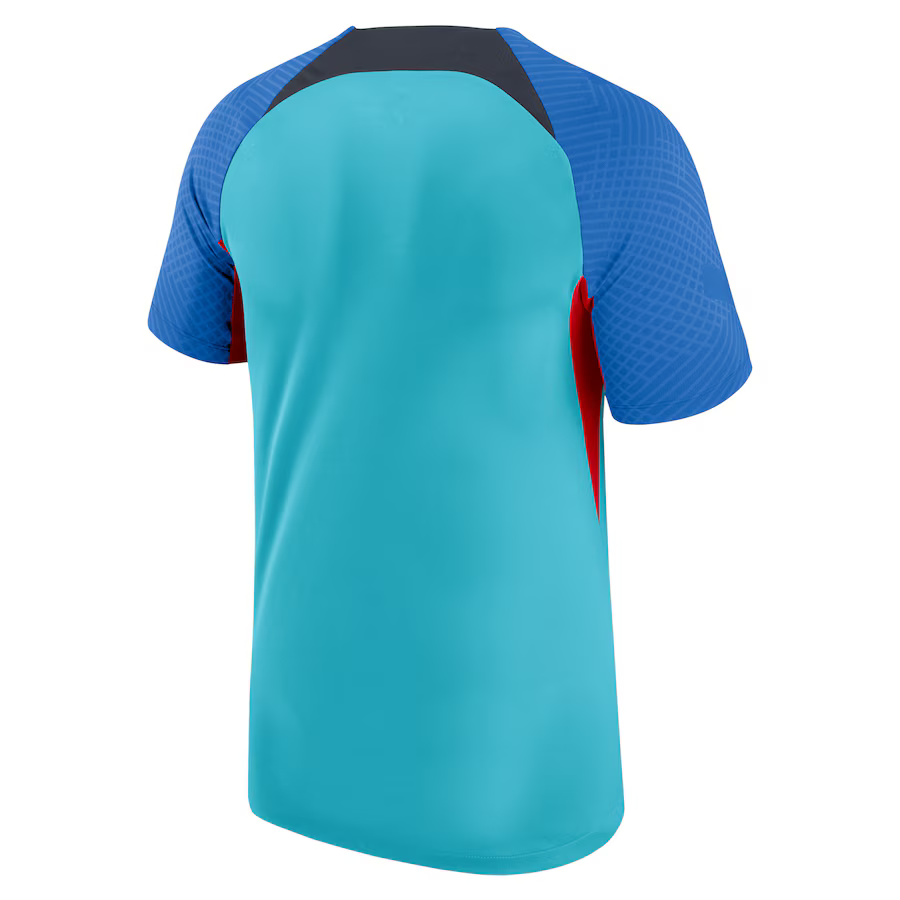 Men's Nike Turquoise Barcelona Strike Raglan Performance Team Top